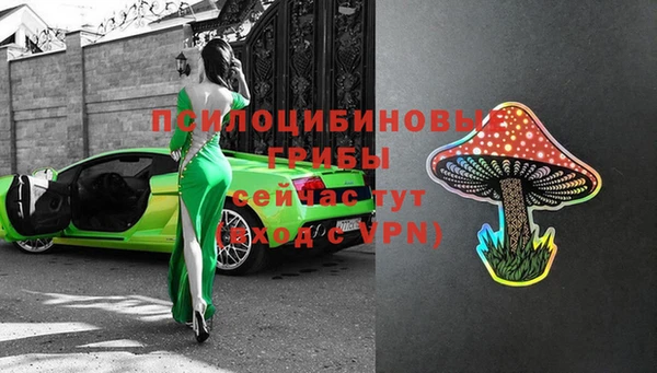 PSILOCYBIN Алексин