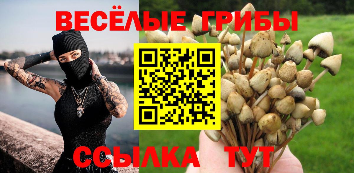 Галлюциногенные грибы мицелий Геленджик
