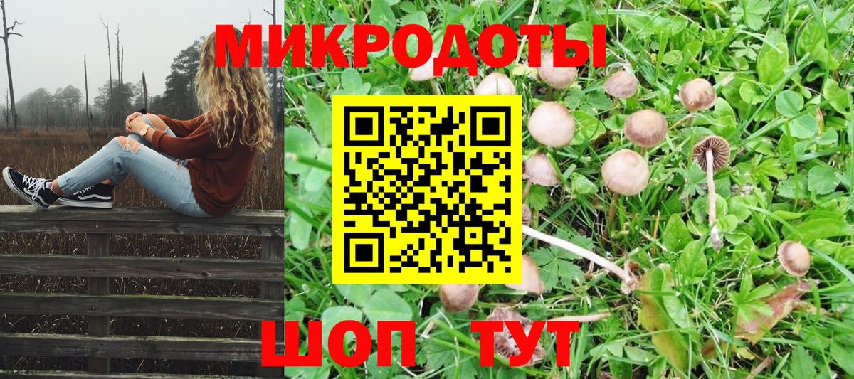 Галлюциногенные грибы Cubensis  Псилоцибиновые грибы мицелий  Вход с VPN  Геленджик 